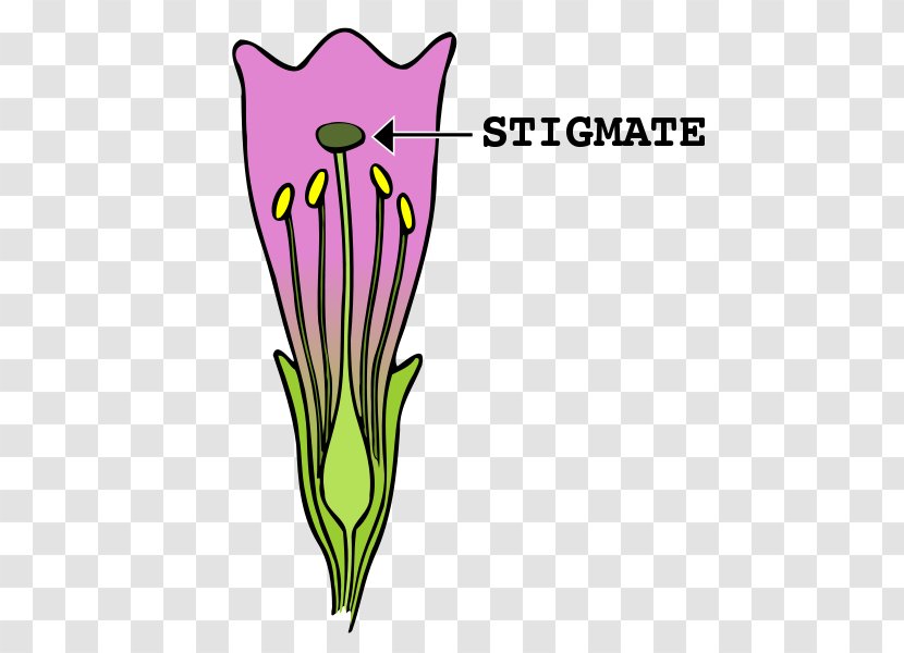 Stigma Flower Clip Art Gynoecium Image - Heavy Metal Facebook Thumb Transparent PNG