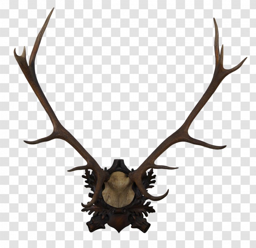 Trophy Cartoon - Deer - Animal Product Natural Material Transparent PNG