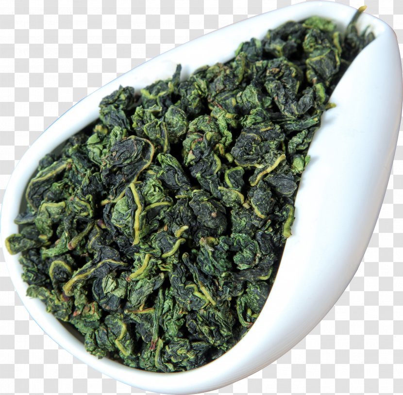 Green Tea Gyokuro Tieguanyin White - Oolong Transparent PNG