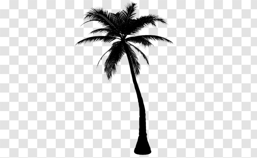 Palm Trees Clip Art Coconut - Elaeis - Borassus Flabellifer Transparent PNG