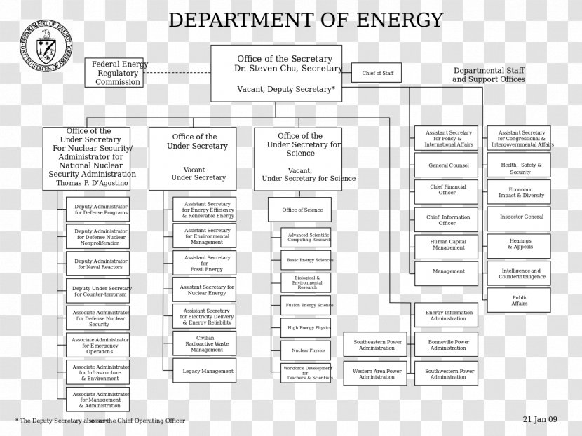 Organizational Chart Diagram Structure - Information - Organization Transparent PNG