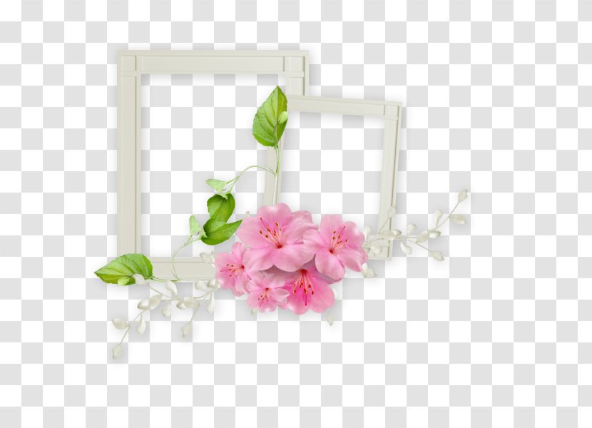 Film Frame Picture - Blossom - White Transparent PNG