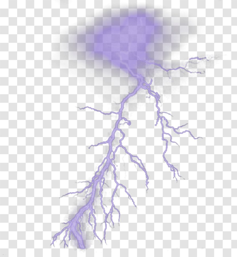 Brush Lightning Drawing - Branch - Stage Lighting Effects Transparent PNG