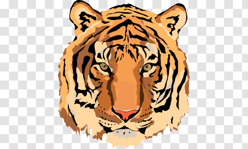Tiger Clip Art - Lion Transparent PNG