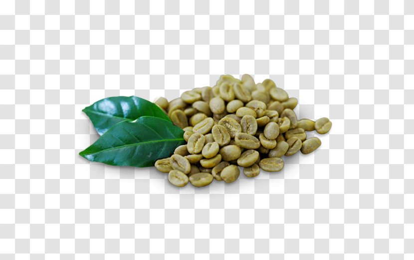 Green Coffee Extract Tea Cafe - Roasting Transparent PNG