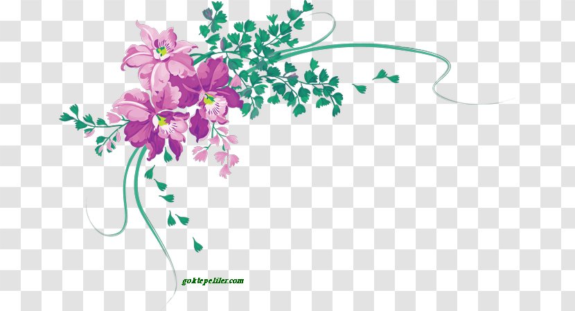 Desktop Wallpaper Flower Clip Art - Organism Transparent PNG