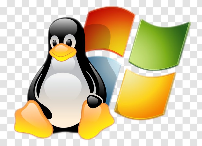 Linux Ve Windows'un Karşılaştırılması Computer Servers Operating Systems - Vertebrate Transparent PNG