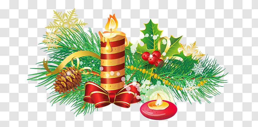 Christmas Day Clip Art Advent Card - Spruce - Tree Transparent PNG