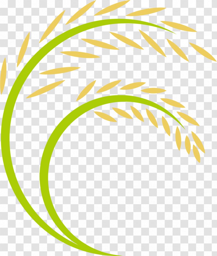 Rice Logo - Paddy Field - Cartoon Ears Transparent PNG