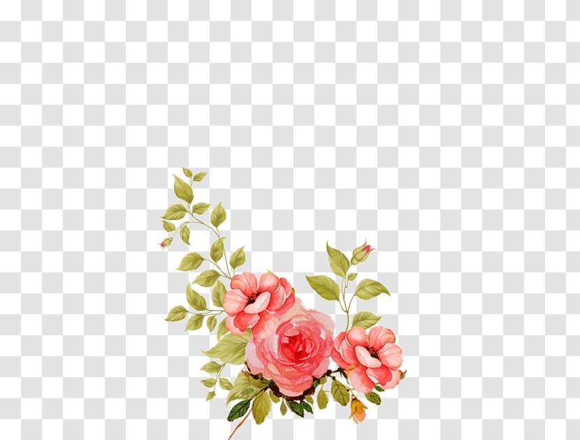 Floral Design - Rose - Flower Arranging Petal Transparent PNG