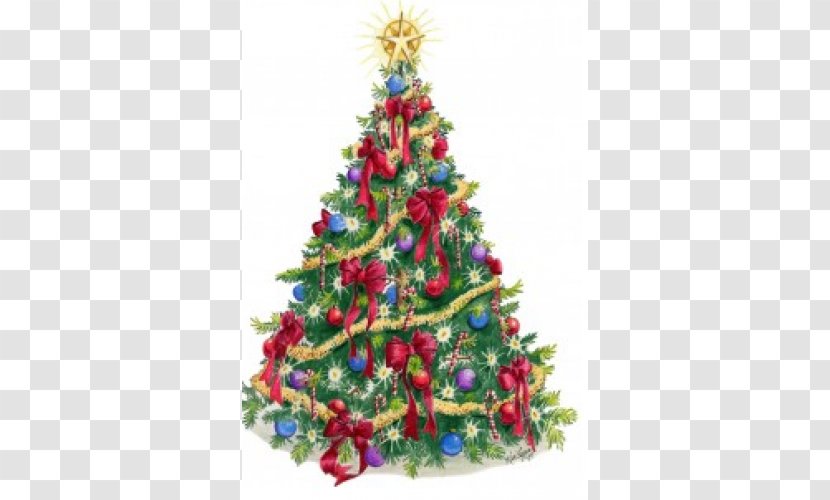 Christmas Tree Nativity Scene Holiday - Advent Sunday Transparent PNG