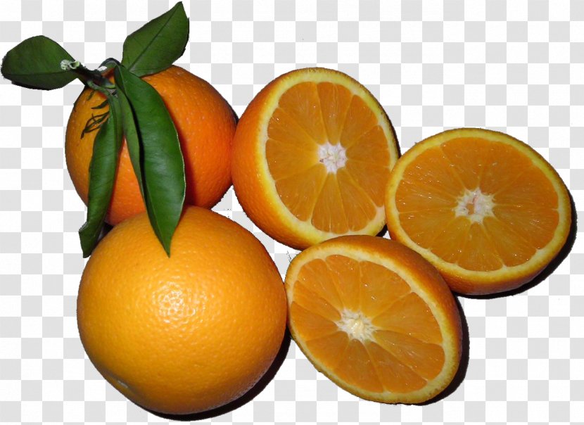 Blood Orange Tangelo Tangerine Clementine - Rangpur Transparent PNG