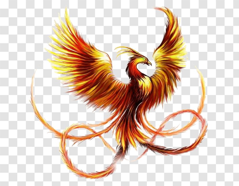 Sleeve Tattoo Phoenix Firebird Ink - Fenghuang Transparent PNG