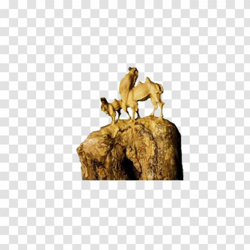 Camel Creativity - Animal - Hill Transparent PNG