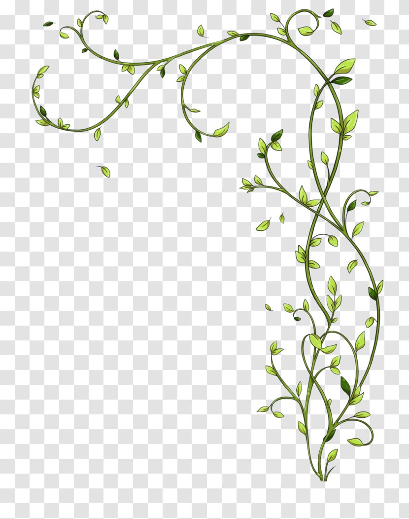 Twig Floral Design Green Plant Stem - Leaf Transparent PNG