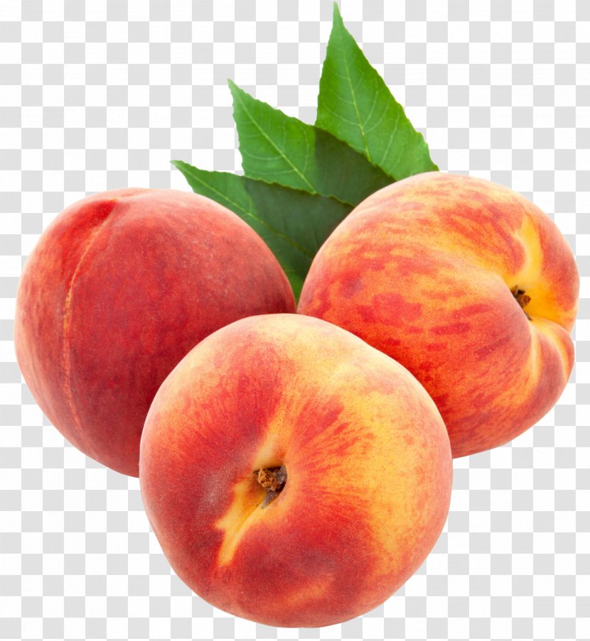 Peach Clip Art - Local Food - Large Peaches Clipart Transparent PNG