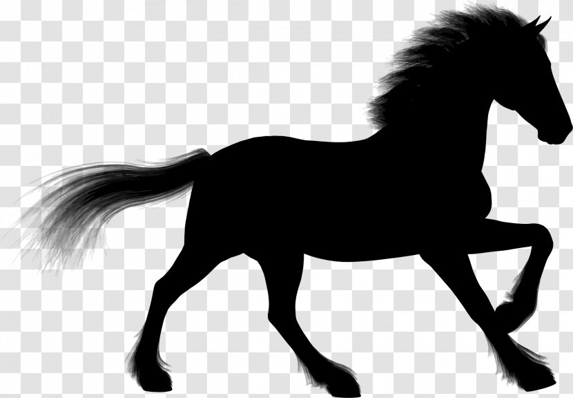 Stallion Arabian Horse Foal Silhouette Clip Art Transparent PNG