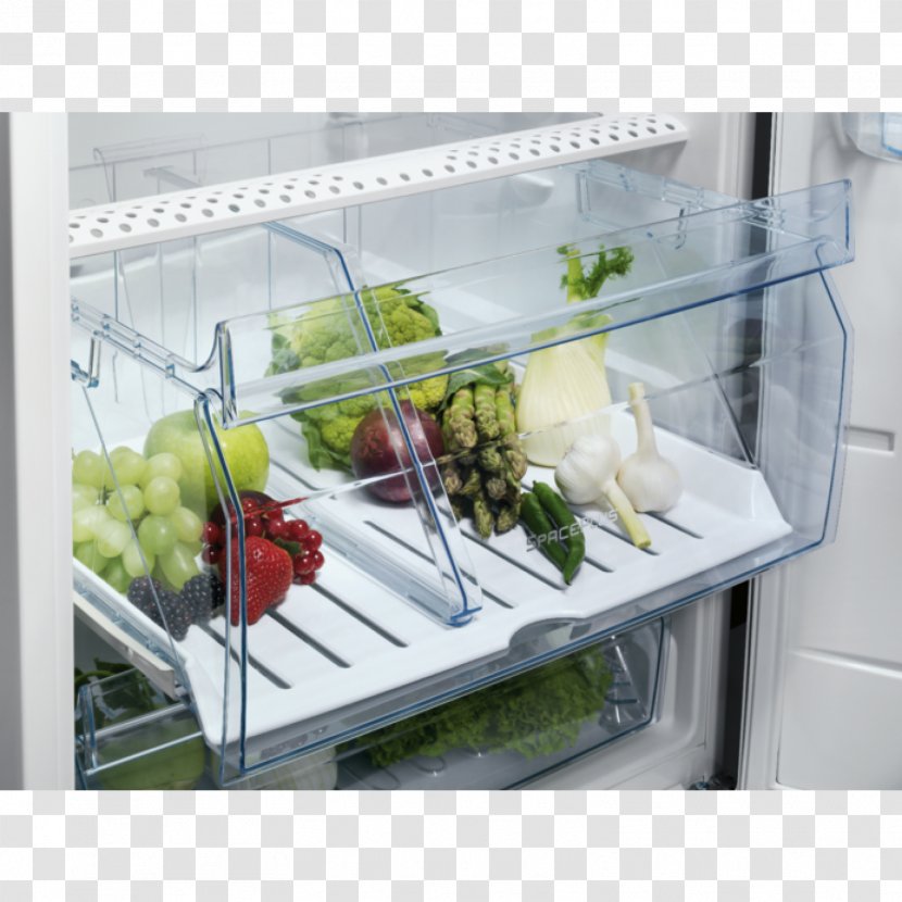 Refrigerator Electrolux ENN3153AOW Freezers Kitchen - Enn3153aow Transparent PNG