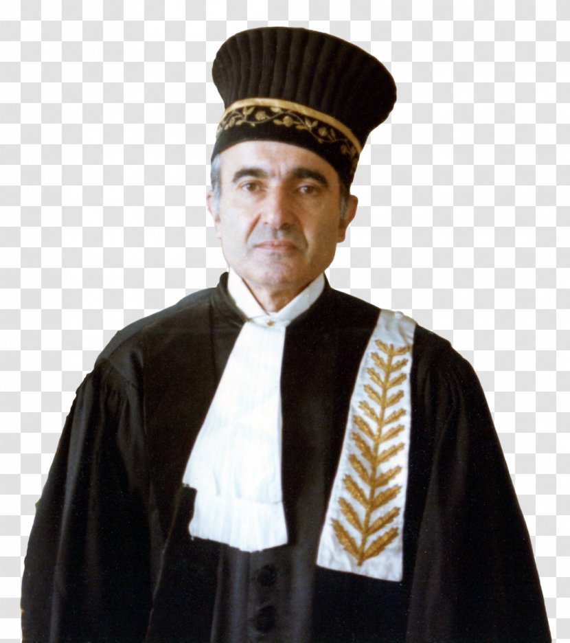 Hadi Jelveh Iran Judge Lawyer Barrister - Criminology - Gown Transparent PNG