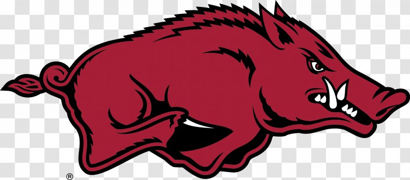 University Of Arkansas Razorbacks Football Baseball North Texas Mean Green Feral Pig - National Collegiate Athletic Association Transparent PNG