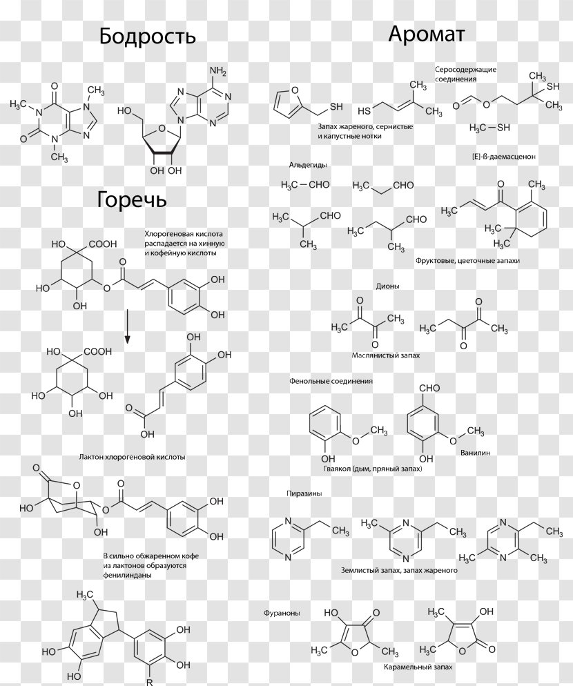 Line Art Document Point Angle - Area Transparent PNG