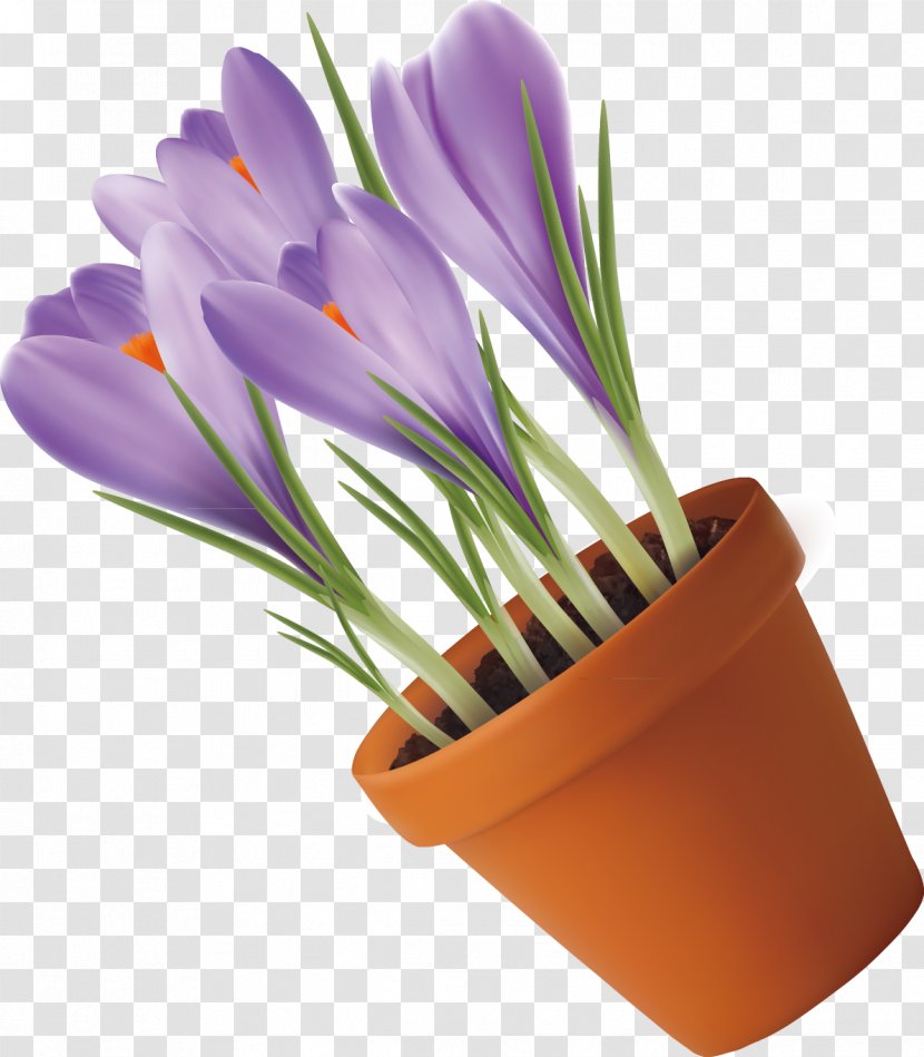 Purple Lavender Euclidean Vector - Tulip Transparent PNG