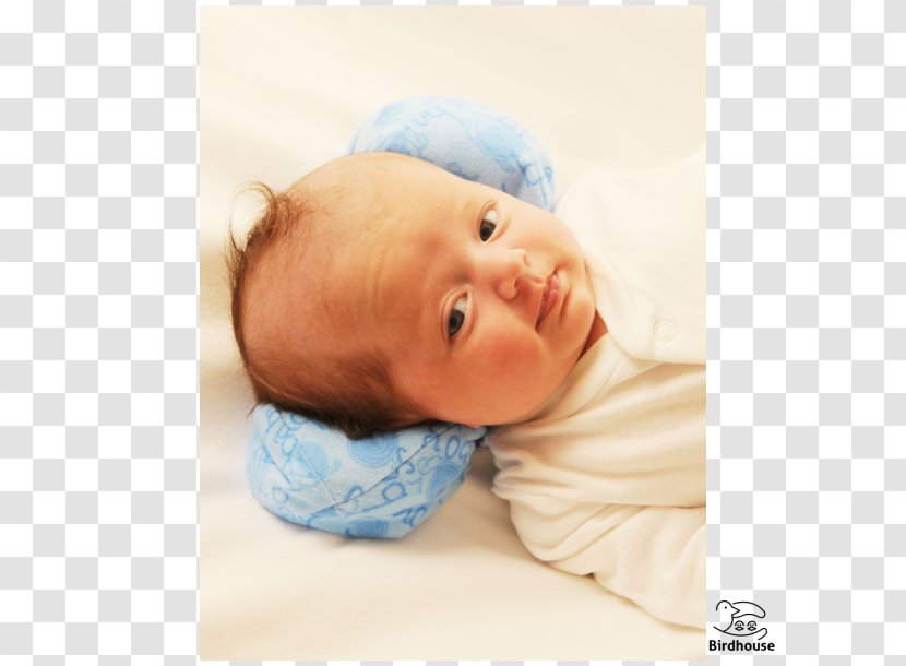 Child Infant Nose Toddler Cheek - Groundnut Transparent PNG
