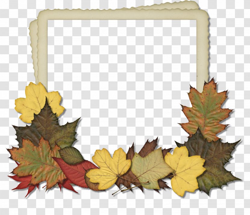Picture Frames Autumn Scrapbooking Clip Art - Frame - Leaf Transparent PNG