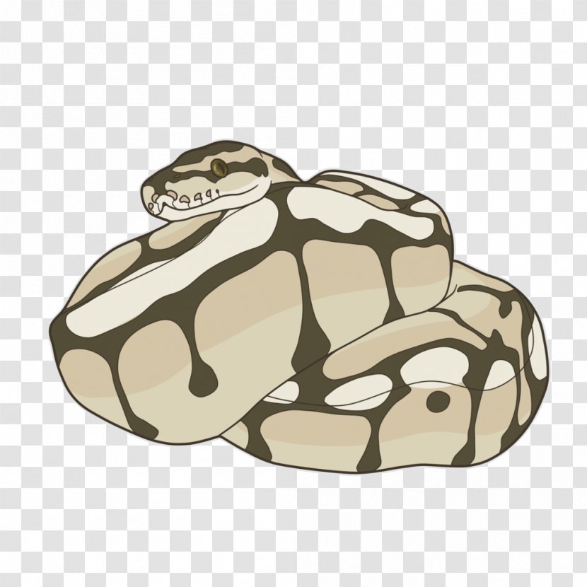 Snake Ball Python Reptile Cartoon African Rock Transparent PNG