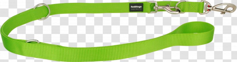 Leash Dog Collar Dingo - Green Transparent PNG