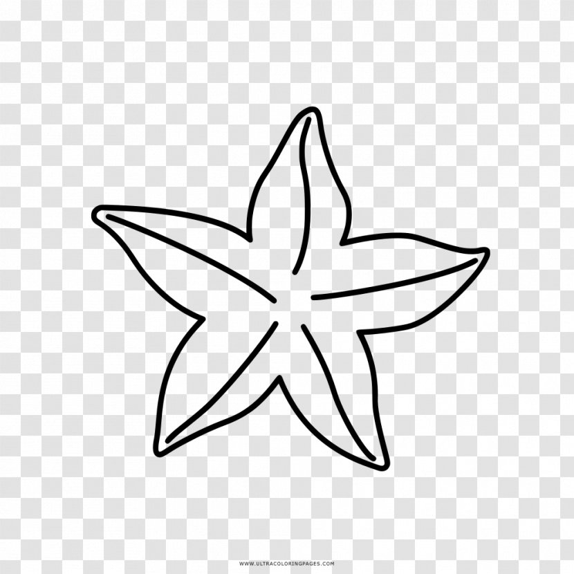 Coloring Book Drawing Starfish Clip Art - Leaf - Estrela Do Mar Transparent PNG