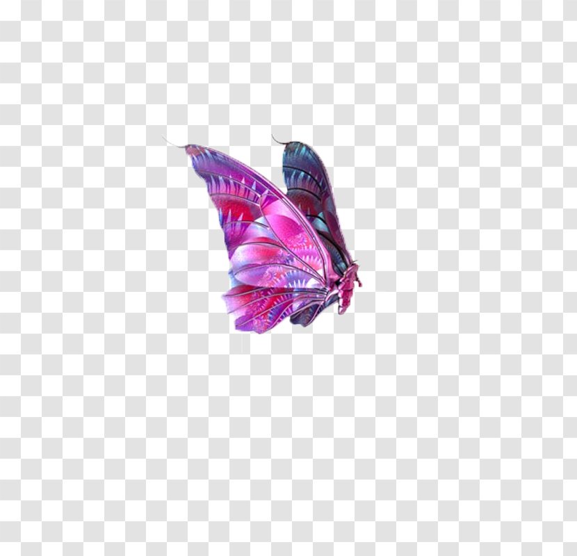 Butterfly Image File Formats Clip Art - Wing - Butterfly,insect,specimen Transparent PNG