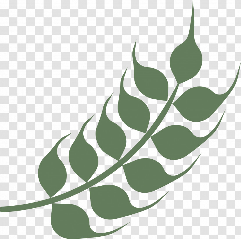 Wheat Ears Transparent PNG