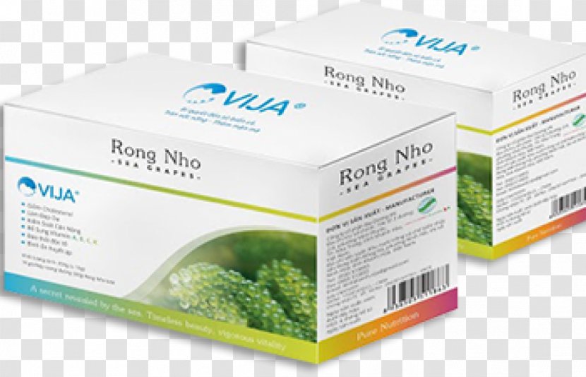 Caulerpa Lentillifera Food Vietnam Seaweed Joint-stock Company - Carton - RONG Transparent PNG