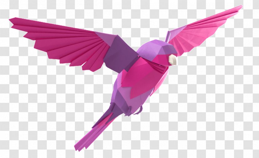 Hummingbird Geometry Three-dimensional Space Feather - Pink Bird Transparent PNG