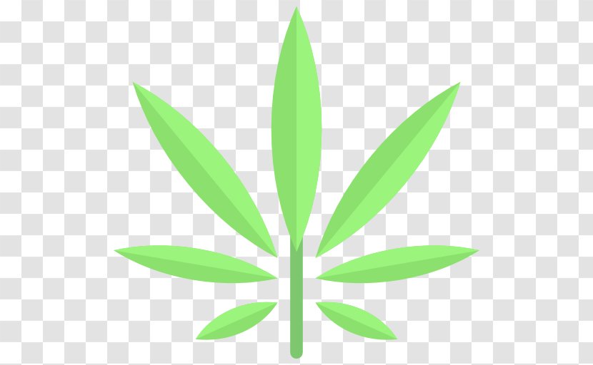 Medical Cannabis Hemp Cultivation Autoflowering - Plant Transparent PNG