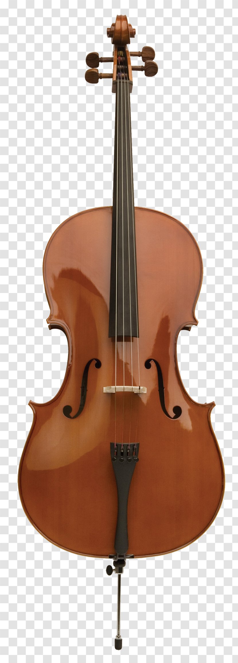 Five String Violin Instruments The Strad Fingerboard - Tree Transparent PNG