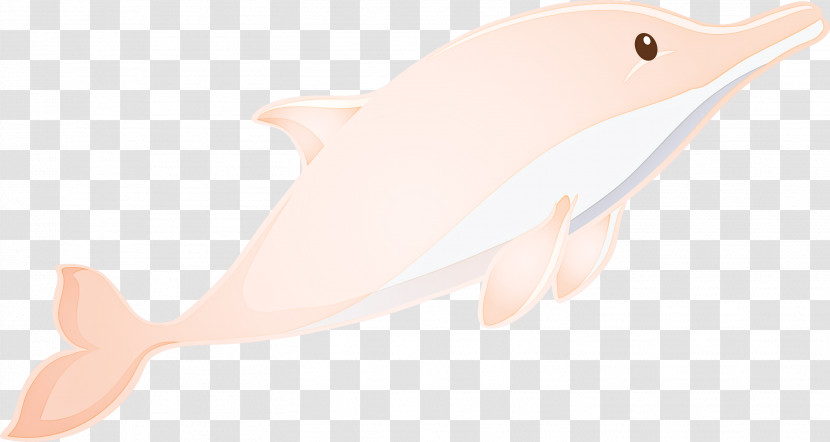 Pink Cetacea Dolphin Fish Whale Transparent PNG