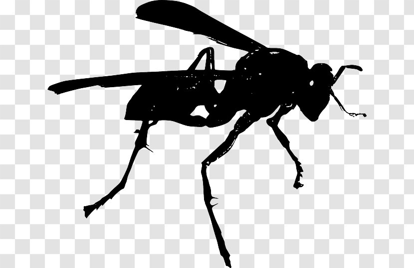 Bee Hornet Wasp Clip Art - Helicopter Rotor - Insect Transparent PNG