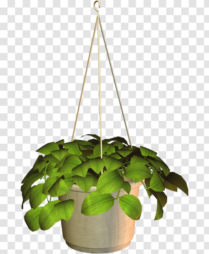 Flowerpot Cachepot Houseplant Clip Art - Plant Transparent PNG