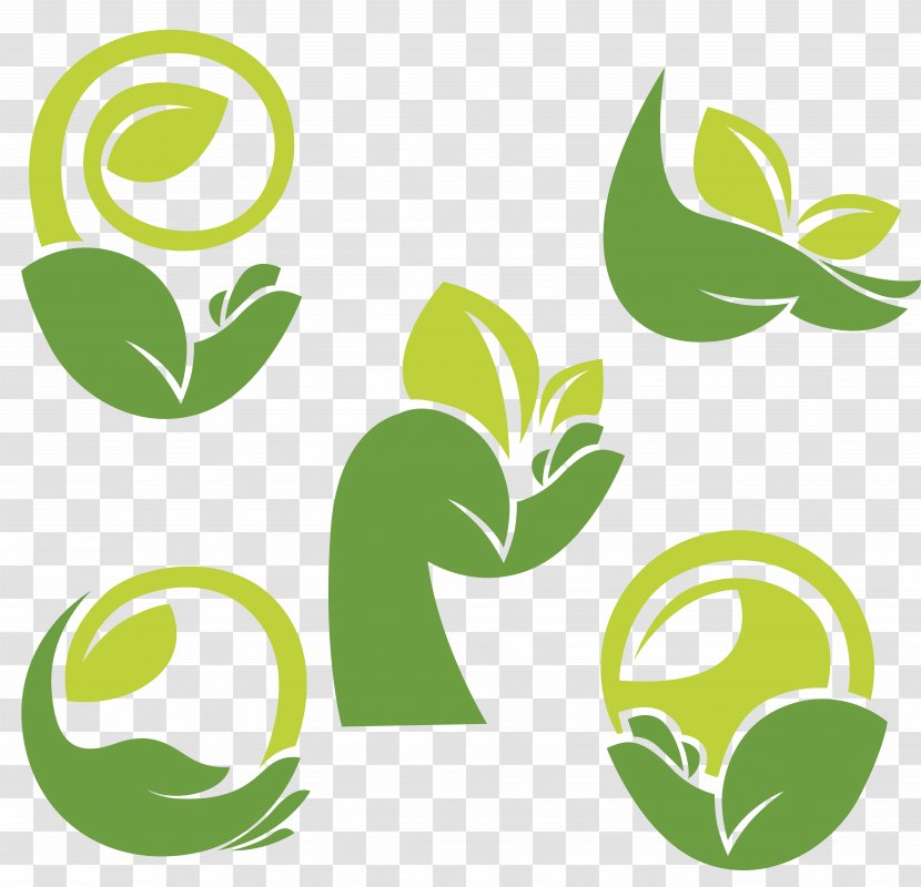Logo Clip Art - Leaf - Ecological Park Transparent PNG