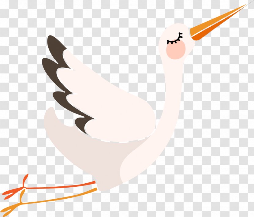 Clip Art - Feather - Stork Transparent PNG