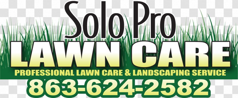 Lawn Haines City Davenport Lake Wales Landscaping - Prolawn Turf Transparent PNG