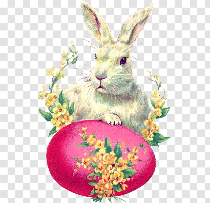 Easter Bunny Postcard Rabbit Egg - Bokm%c3%a4rke Transparent PNG