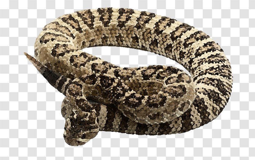 Rattlesnake Reptile Vipers Great Basin - Samuel L Jackson Transparent PNG