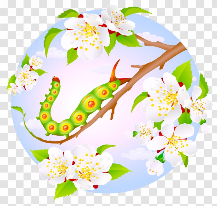 Insect Caterpillar Cartoon Illustration - Area - Flowers And Insects Transparent PNG