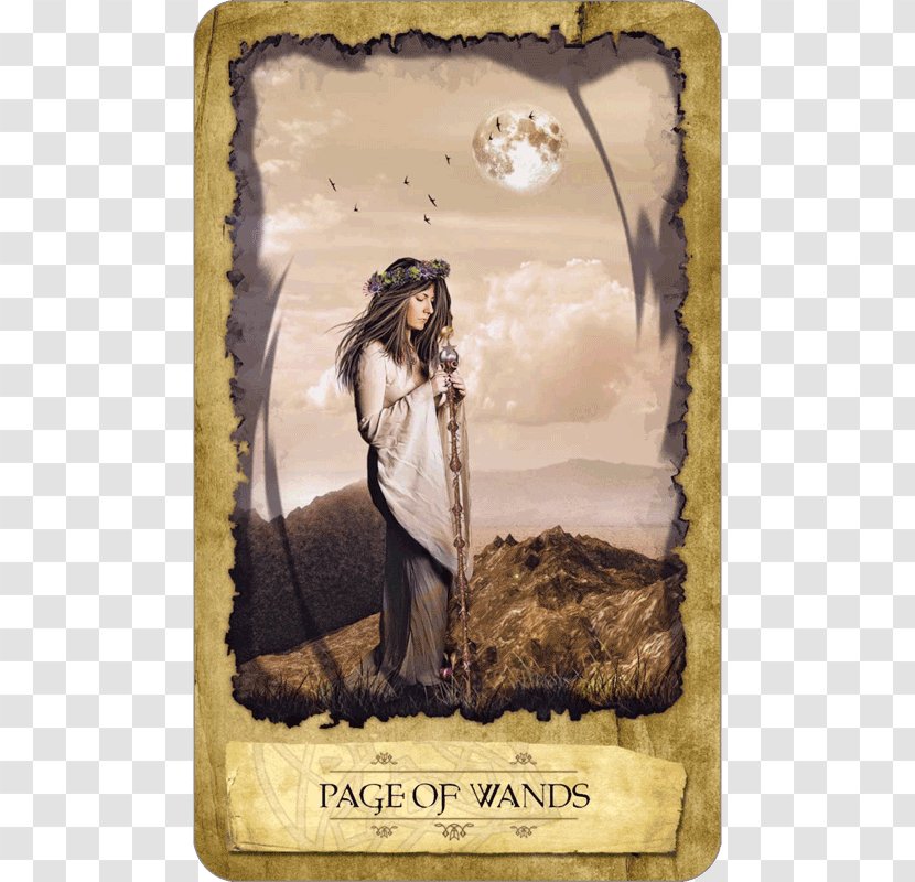 Mystic Dreamer Tarot Page Of Wands Mysticism The Fool - Dream Transparent PNG