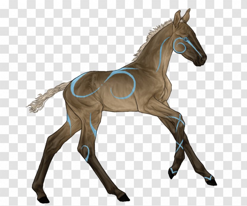 Mustang Foal Appaloosa Stallion Mare - Spirit Horse Transparent PNG
