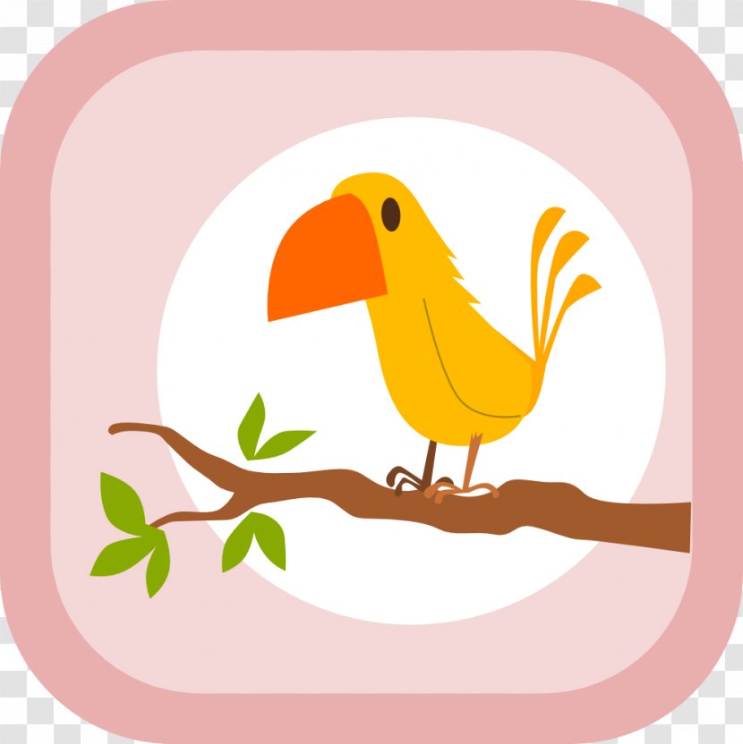 Bird Owl Toucan Greeting & Note Cards Greater Flamingo - Cartoon - Yellow Transparent PNG