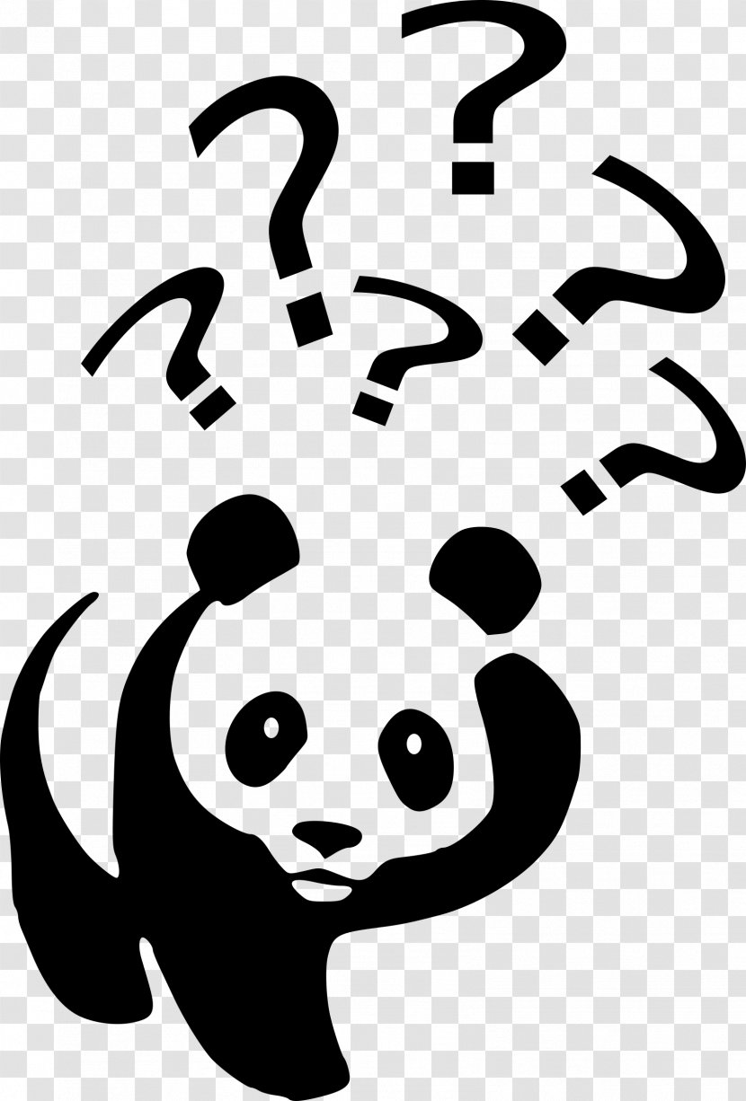 Giant Panda Question Mark Clip Art - Face Transparent PNG